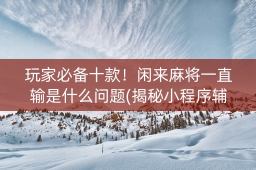 玩家必备十款！闲来麻将一直输是什么问题(揭秘小程序辅牌器)