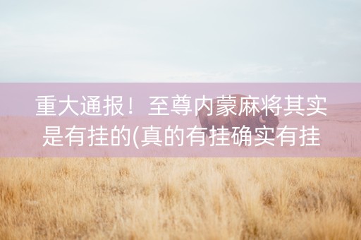 重大通报！至尊内蒙麻将其实是有挂的(真的有挂确实有挂)