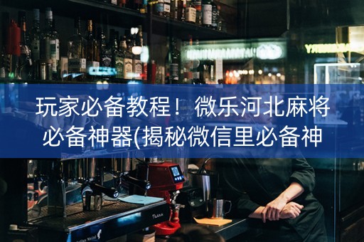 玩家必备教程！微乐河北麻将必备神器(揭秘微信里必备神器)