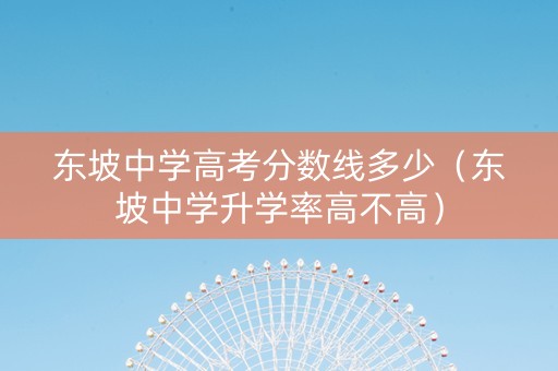 东坡中学高考分数线多少（东坡中学升学率高不高）
