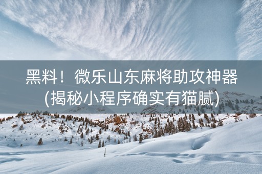黑料！微乐山东麻将助攻神器(揭秘小程序确实有猫腻)