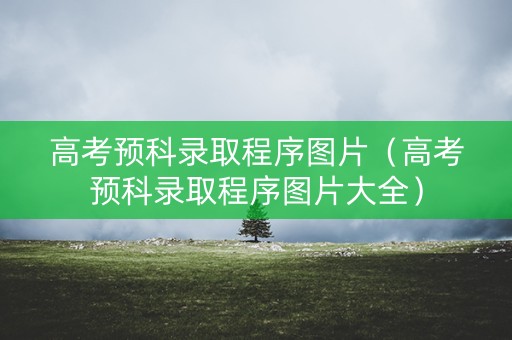 高考预科录取程序图片（高考预科录取程序图片大全）