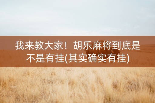 我来教大家！胡乐麻将到底是不是有挂(其实确实有挂)