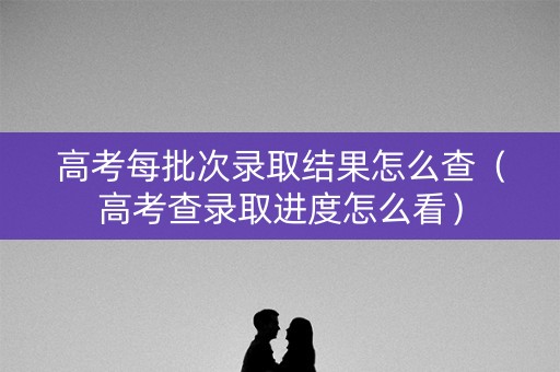 高考每批次录取结果怎么查（高考查录取进度怎么看）