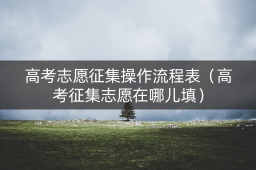高考志愿征集操作流程表（高考征集志愿在哪儿填）
