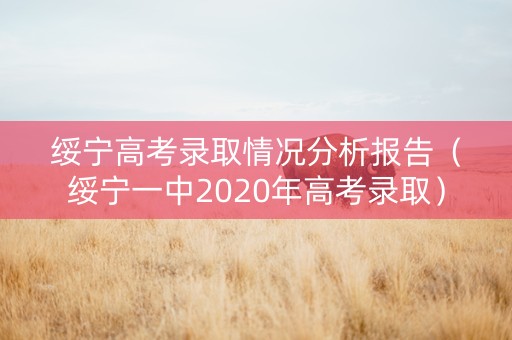 绥宁高考录取情况分析报告（绥宁一中2020年高考录取）