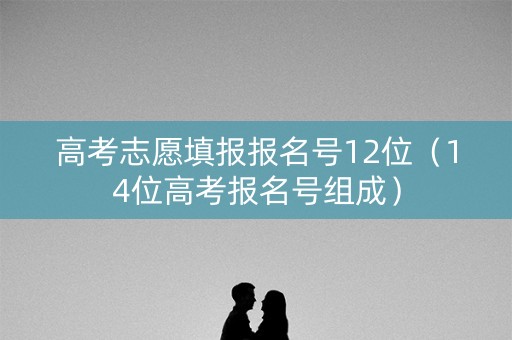 高考志愿填报报名号12位（14位高考报名号组成）