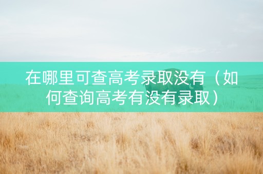 在哪里可查高考录取没有（如何查询高考有没有录取）