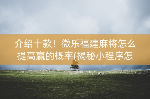 介绍十款！微乐福建麻将怎么提高赢的概率(揭秘小程序怎么容易赢)