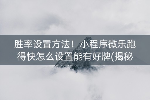 胜率设置方法！小程序微乐跑得快怎么设置能有好牌(揭秘手机上辅牌器)