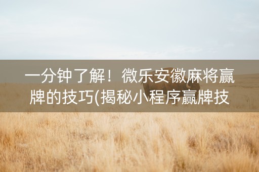 一分钟了解！微乐安徽麻将赢牌的技巧(揭秘小程序赢牌技巧)
