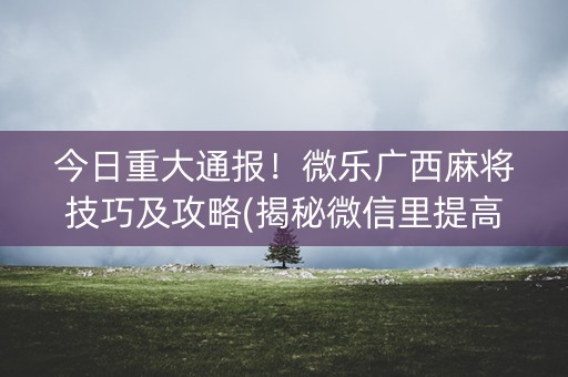 今日重大通报！微乐广西麻将技巧及攻略(揭秘微信里提高胜率)