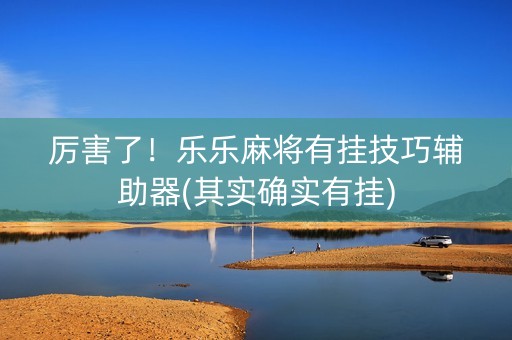 厉害了！乐乐麻将有挂技巧辅助器(其实确实有挂)
