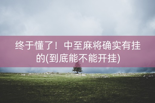 终于懂了！中至麻将确实有挂的(到底能不能开挂)