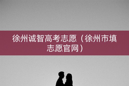 徐州诚智高考志愿（徐州市填志愿官网）