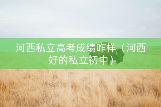 河西私立高考成绩咋样（河西好的私立初中）