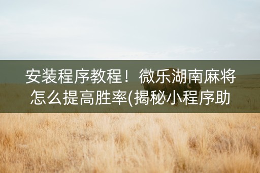 安装程序教程！微乐湖南麻将怎么提高胜率(揭秘小程序助手软件)