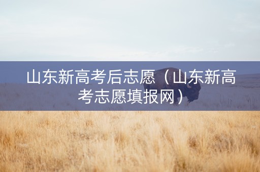 山东新高考后志愿（山东新高考志愿填报网）