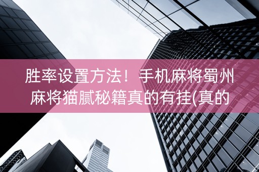 胜率设置方法！手机麻将蜀州麻将猫腻秘籍真的有挂(真的确实是有挂)