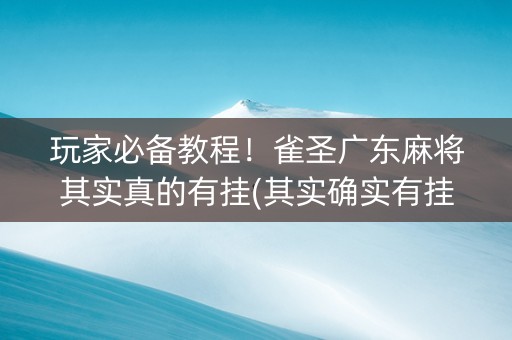 玩家必备教程！雀圣广东麻将其实真的有挂(其实确实有挂)
