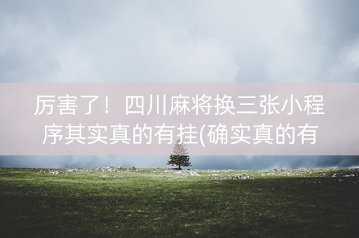 厉害了！四川麻将换三张小程序其实真的有挂(确实真的有挂)