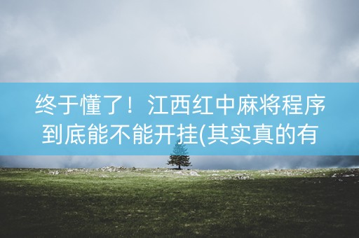 终于懂了！江西红中麻将程序到底能不能开挂(其实真的有挂)