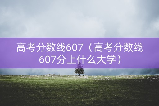 高考分数线607（高考分数线607分上什么大学）