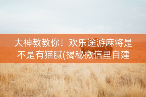 大神教教你！欢乐途游麻将是不是有猫腻(揭秘微信里自建房怎么赢)