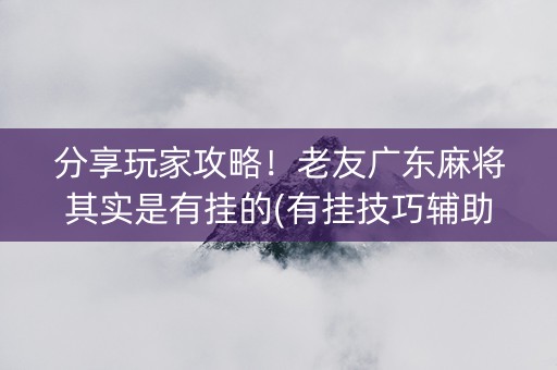 分享玩家攻略！老友广东麻将其实是有挂的(有挂技巧辅助器)