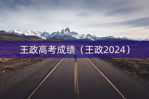 王政高考成绩（王政2024）