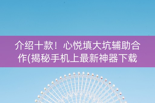 介绍十款！心悦填大坑辅助合作(揭秘手机上最新神器下载)