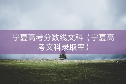 宁夏高考分数线文科（宁夏高考文科录取率）