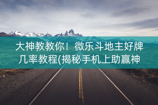 大神教教你！微乐斗地主好牌几率教程(揭秘手机上助赢神器购买)