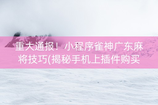重大通报！小程序雀神广东麻将技巧(揭秘手机上插件购买)