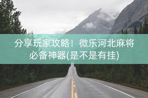 分享玩家攻略！微乐河北麻将必备神器(是不是有挂)
