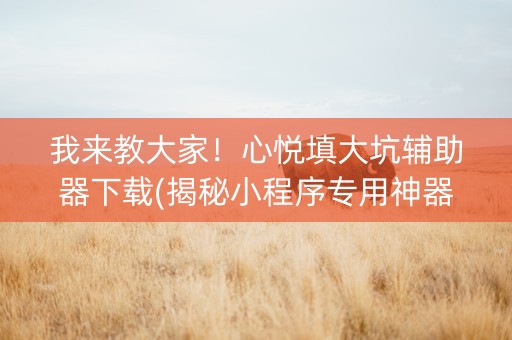 我来教大家！心悦填大坑辅助器下载(揭秘小程序专用神器)