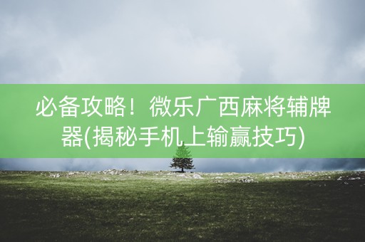 必备攻略！微乐广西麻将辅牌器(揭秘手机上输赢技巧)
