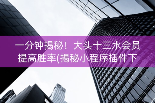 一分钟揭秘！大头十三水会员提高胜率(揭秘小程序插件下载)