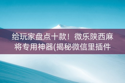 给玩家盘点十款！微乐陕西麻将专用神器(揭秘微信里插件购买)