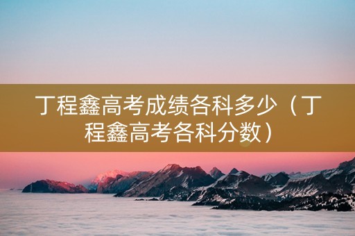 丁程鑫高考成绩各科多少（丁程鑫高考各科分数）