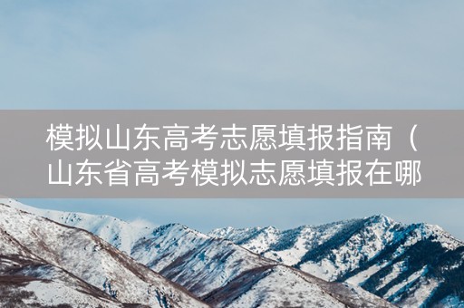 模拟山东高考志愿填报指南（山东省高考模拟志愿填报在哪里）