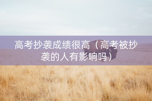 高考抄袭成绩很高（高考被抄袭的人有影响吗）