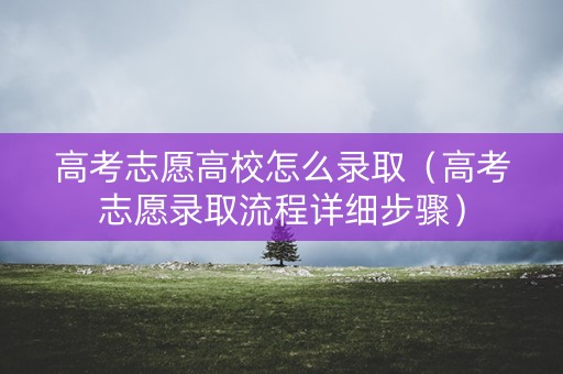 高考志愿高校怎么录取（高考志愿录取流程详细步骤）