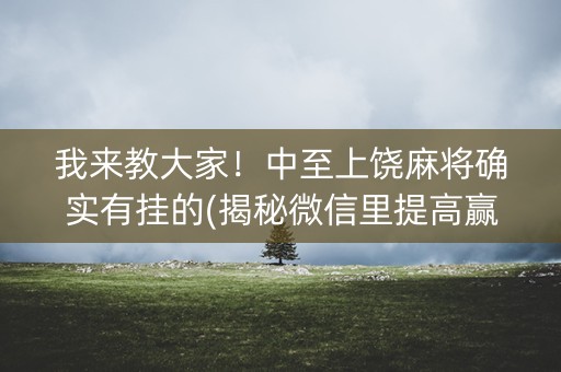 我来教大家！中至上饶麻将确实有挂的(揭秘微信里提高赢的概率)