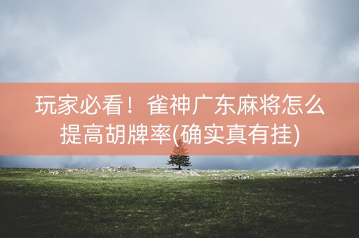 玩家必看！雀神广东麻将怎么提高胡牌率(确实真有挂)