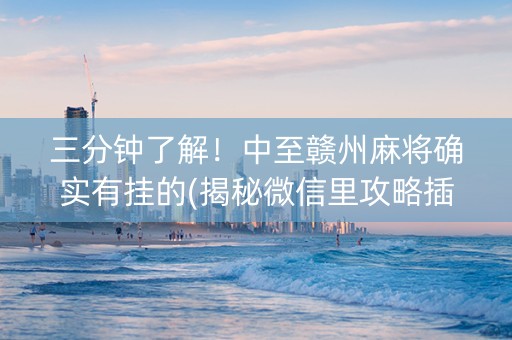 三分钟了解！中至赣州麻将确实有挂的(揭秘微信里攻略插件)