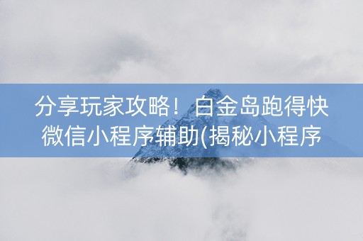 分享玩家攻略！白金岛跑得快微信小程序辅助(揭秘小程序系统发好牌)