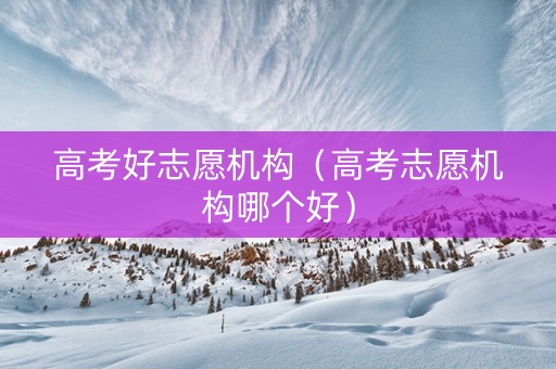高考好志愿机构（高考志愿机构哪个好）
