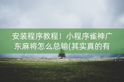 安装程序教程！小程序雀神广东麻将怎么总输(其实真的有挂)