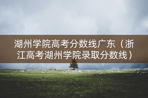 湖州学院高考分数线广东（浙江高考湖州学院录取分数线）
